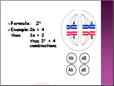 Formula: 2n