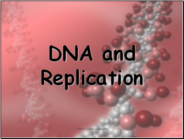 DNA and Replication