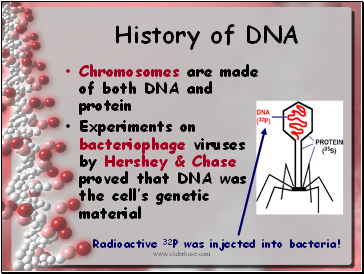 History of DNA