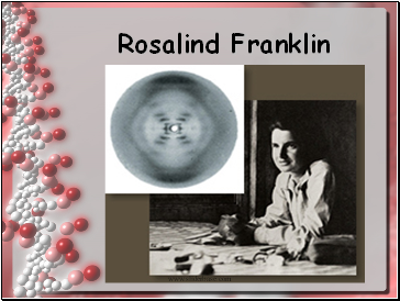 Rosalind Franklin