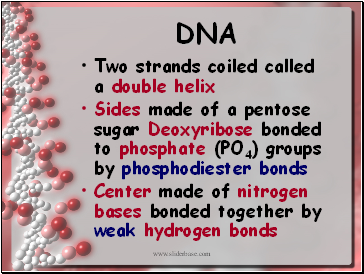 DNA