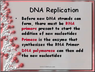 DNA Replication