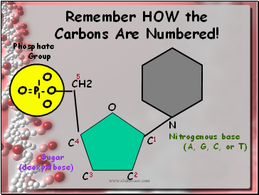 Remember HOW the Carbons Are Numbered!