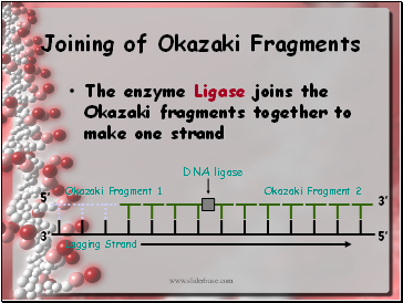Joining of Okazaki Fragments