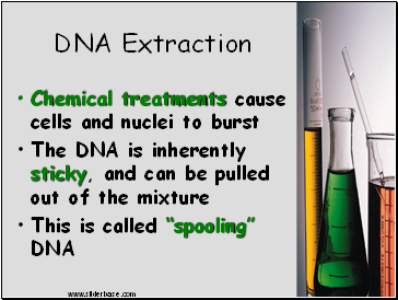 DNA Extraction