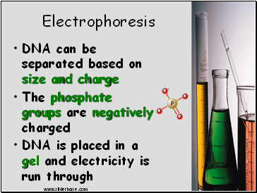 Electrophoresis