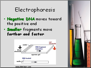 Electrophoresis