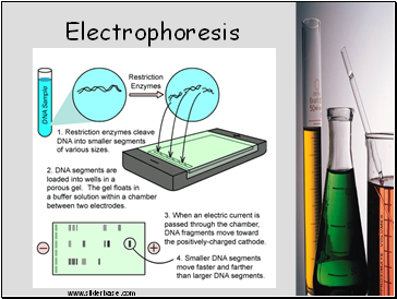 Electrophoresis