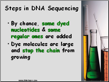 Steps in DNA Sequencing