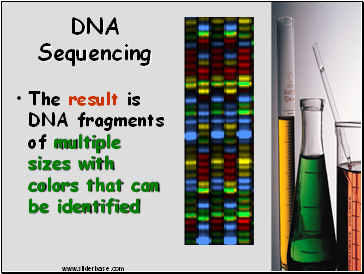 DNA Sequencing