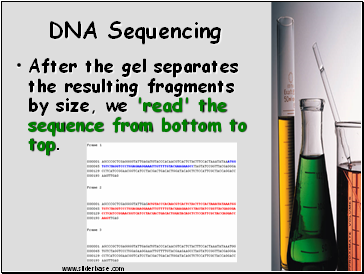 DNA Sequencing