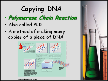 Copying DNA