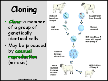 Cloning