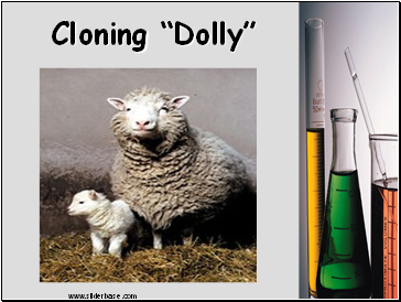 Cloning Dolly