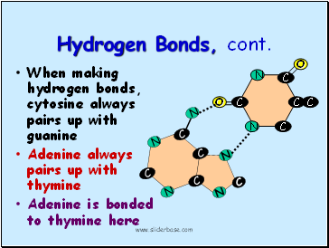 Hydrogen Bonds, cont.