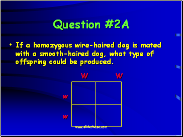 Question #2A