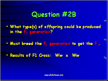 Question #2B