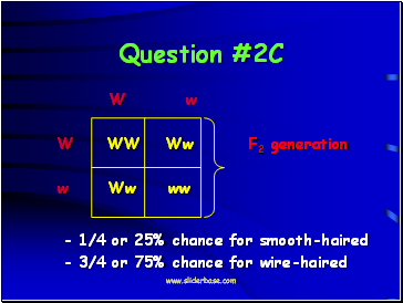 Question #2C