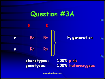 Question #3A