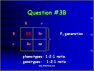 Question #3B