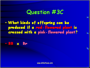 Question #3C