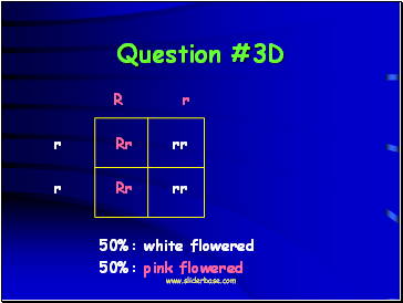 Question #3D