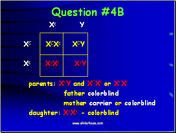 Question #4B