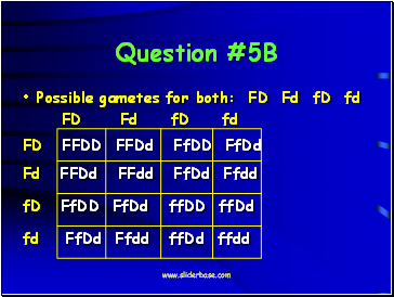 Question #5B