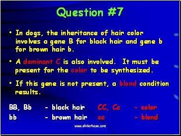 Question #7