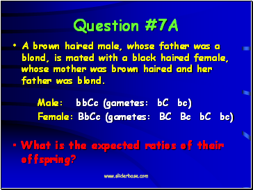 Question #7A