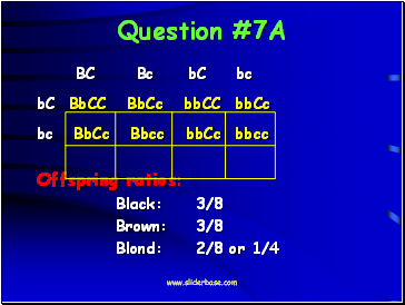 Question #7A