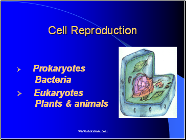 Cell Reproduction