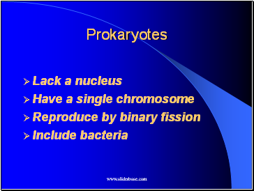 Prokaryotes