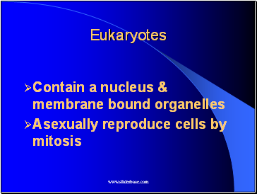 Eukaryotes