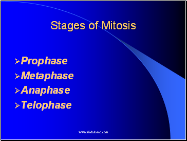 Stages of Mitosis