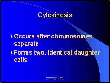 Cytokinesis