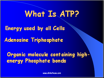 What Is ATP?
