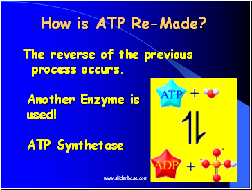 How is ATP Re-Made?