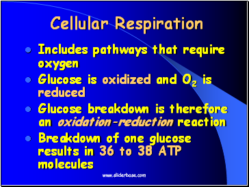 Cellular Respiration