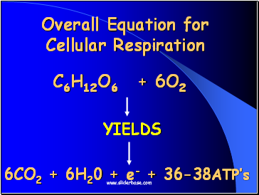 Overall Equation for Cellular Respiration