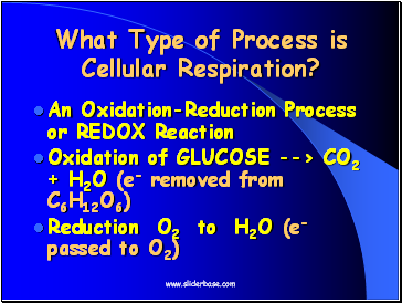 What Type of Process is Cellular Respiration?