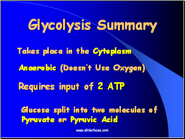 Glycolysis Summary