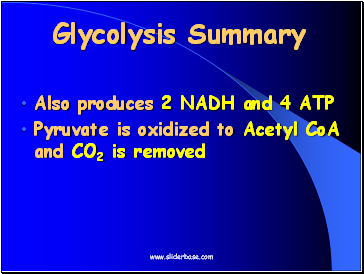 Glycolysis Summary