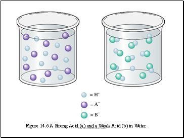 Figure 14.6 A Strong Acid (a) and a Weak Acid (b) in Water