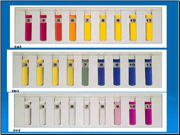 Topic 10: ACIDS, BASES & SALTS