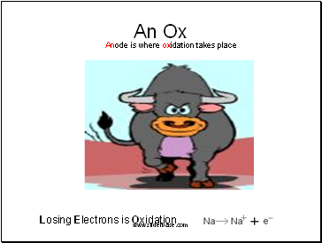 Anode is where oxidation takes place