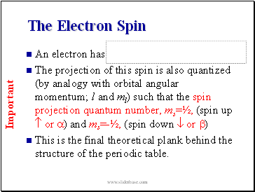 The Electron Spin
