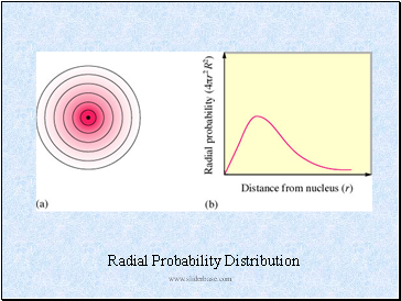 Radial Probability Distribution