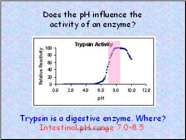 Does the pH influence the activity of an enzyme?