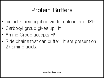 Protein Buffers